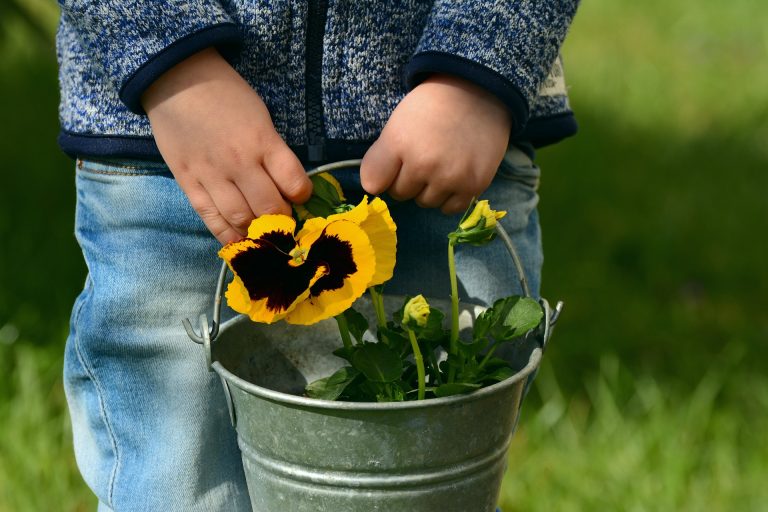 Introducing young children to gardening
