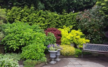 ideas for making the garden cozier