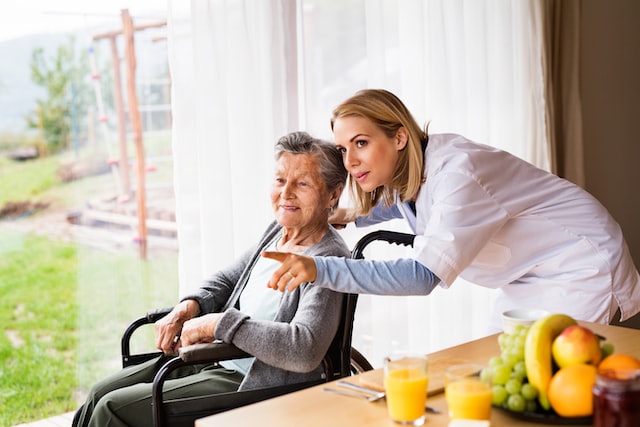 Health visitor and a senior woman during home