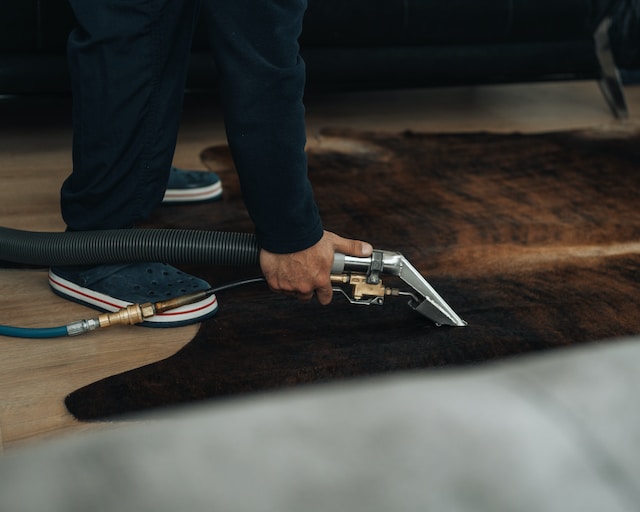 person cleaning the rug